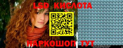 стаф Ярославль