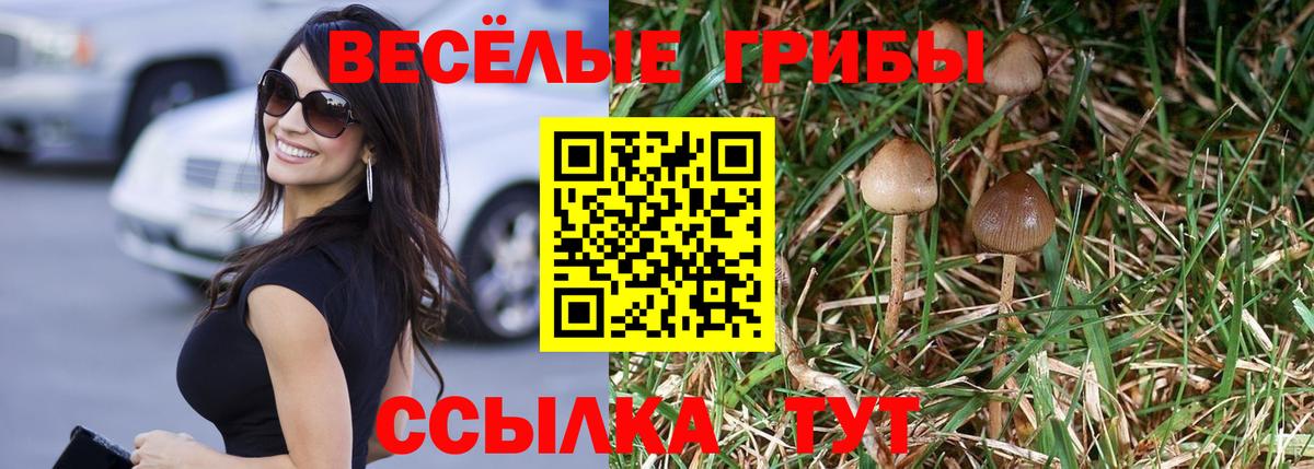 Галлюциногенные грибы мицелий Верхний Уфалей